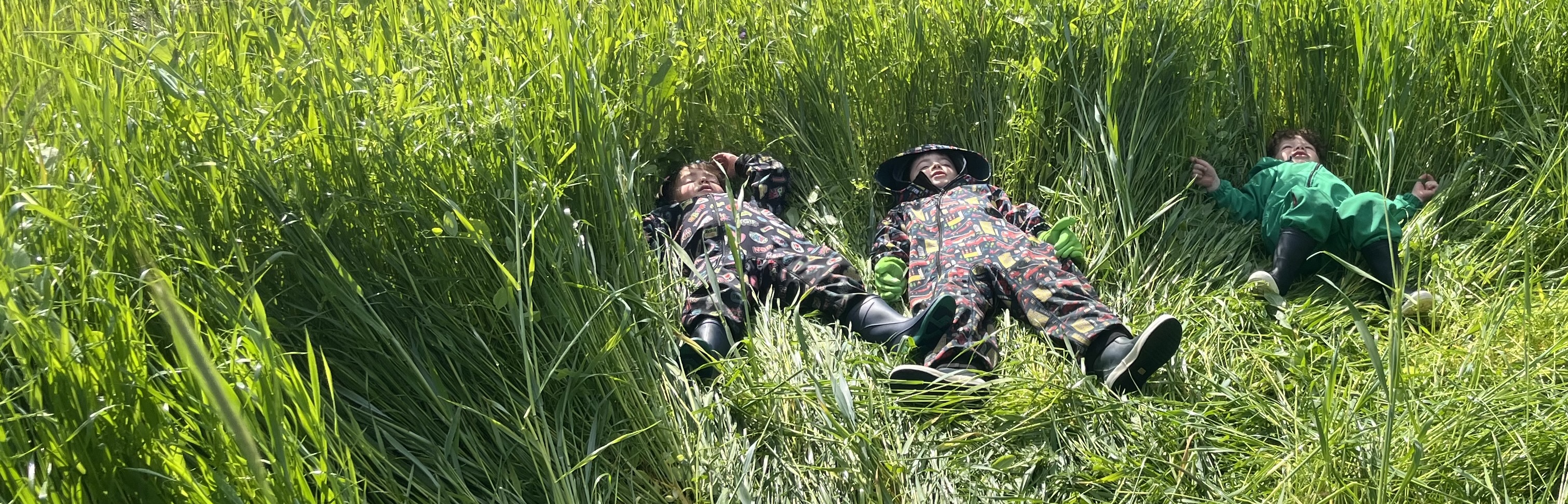 Enfants allongés dans l'herbe